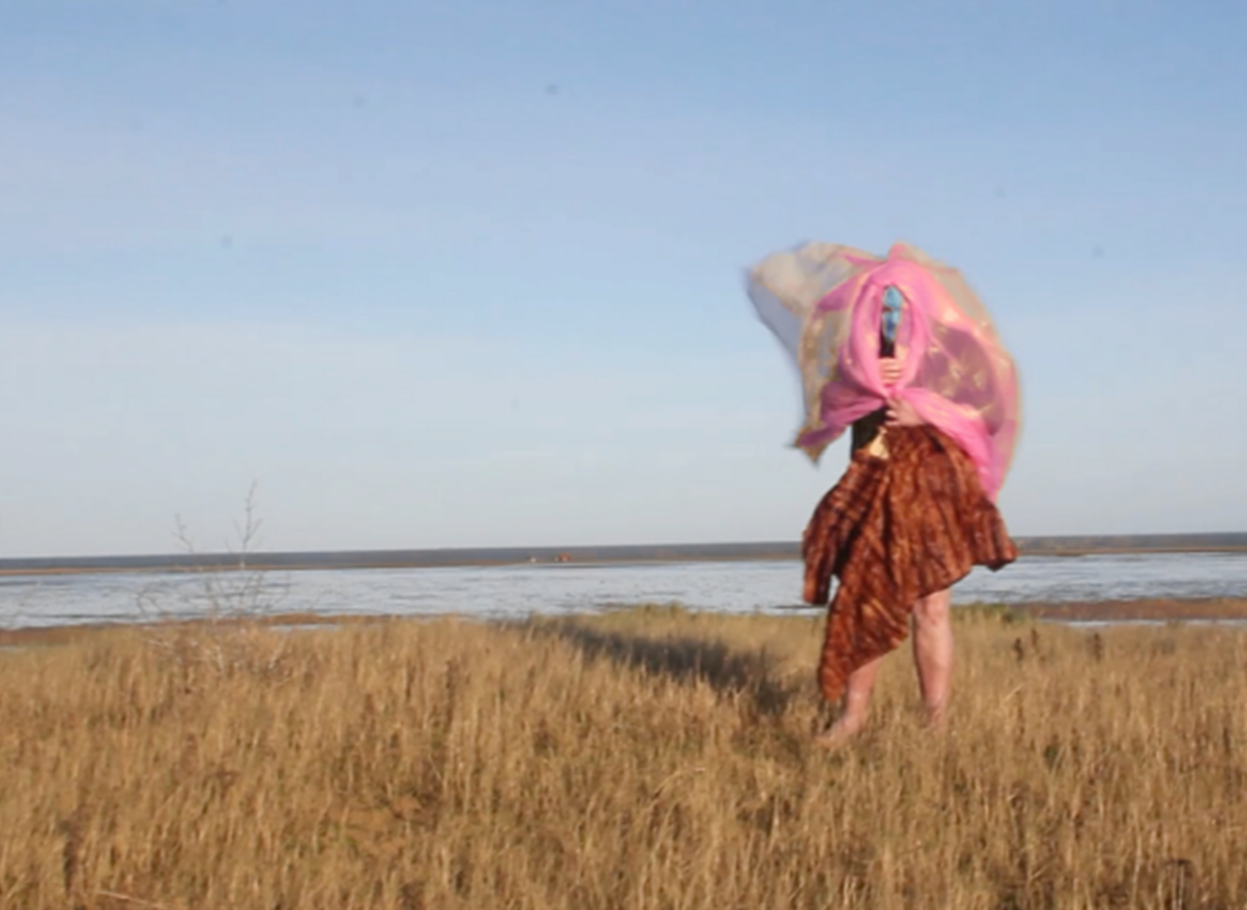 blurry human figure with unusual clothing stands windswept in marshland